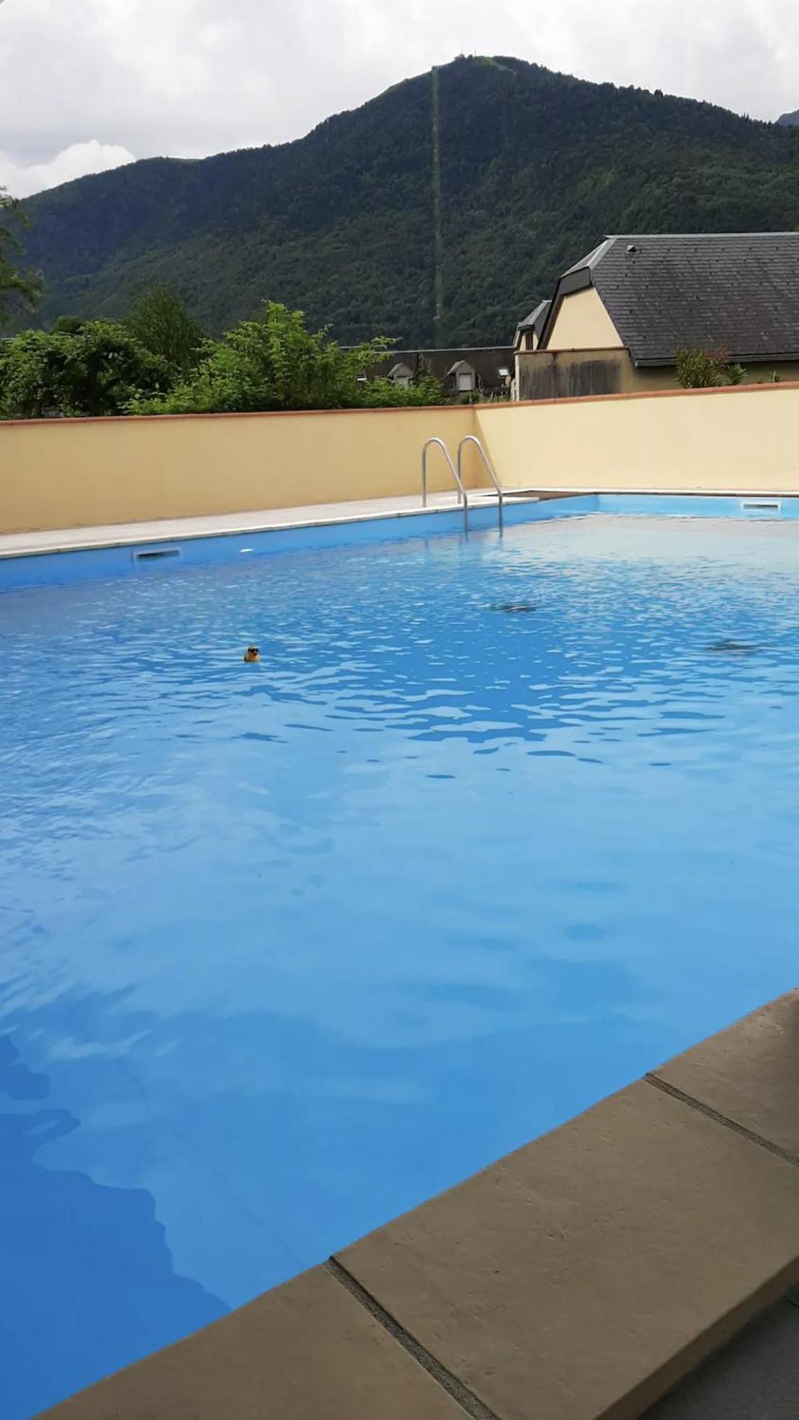 Appart T 3 Bagneres-De-Luchon Vue Montagne - Piscine Mi Juin Luaran gambar